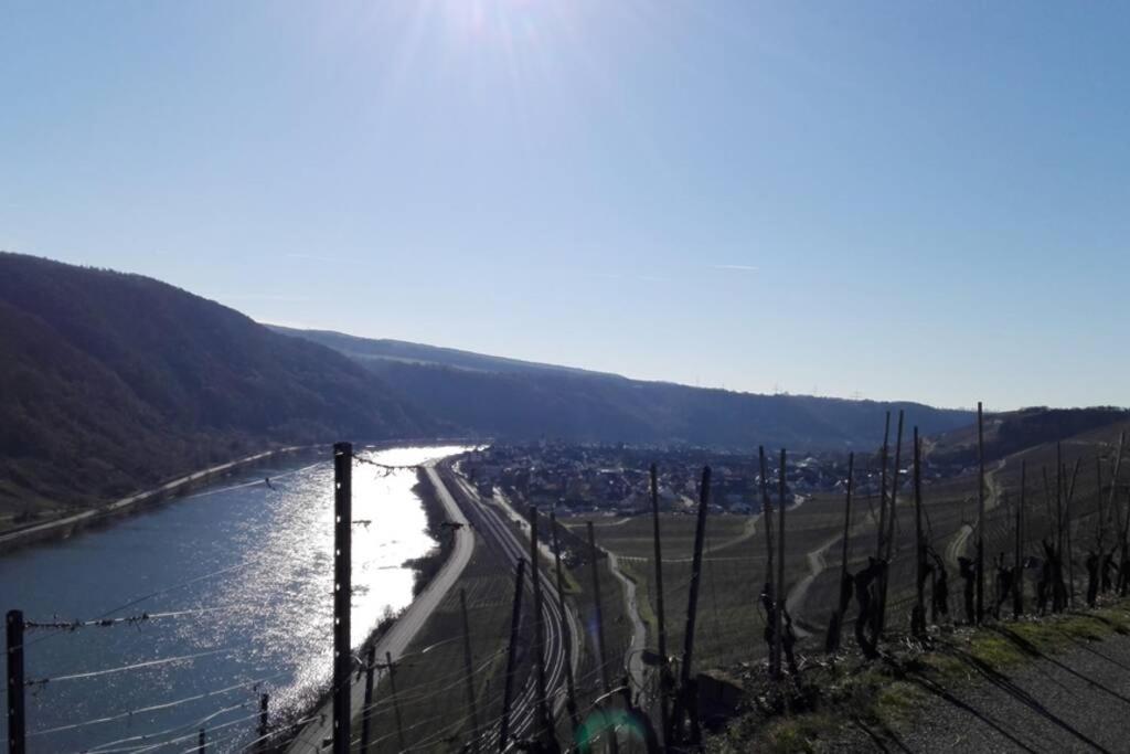 Ferienhaus Chalet Marc Am Moselbogen Villa Koblenz  Bagian luar foto